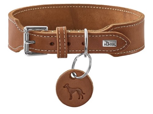 Hunter hunde halsband und - hunde,