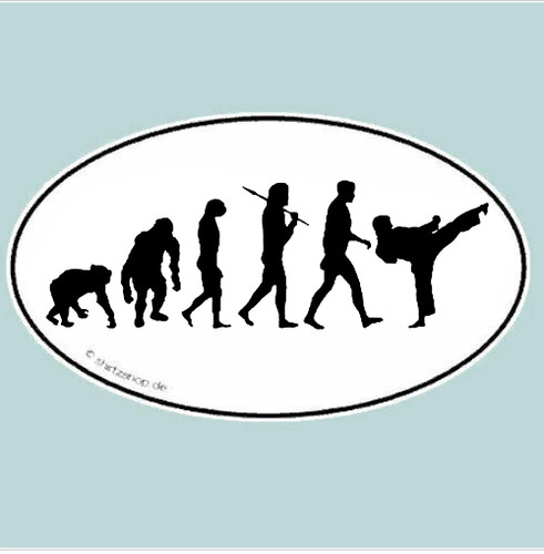 Karate kampfsport evolution - karate,
