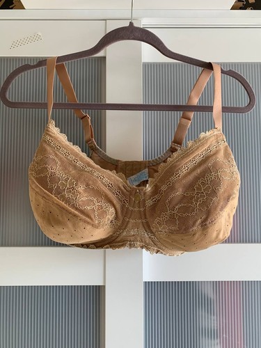 Triumph lace sensation whp - triumph, gr