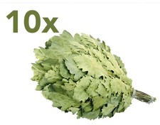 Eichenreisig 10 x 50-60cm Eichenquast Eichenzweig Sauna Wenik Banja Saunazubehör