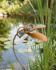 Paradisvogel Edelrost