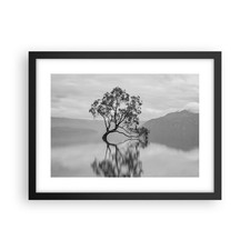Wandbilder 40x30cm poster baum - 40x30cm,