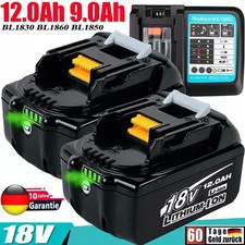 12,0Ah 6,0Ah Akku / Ladegerät