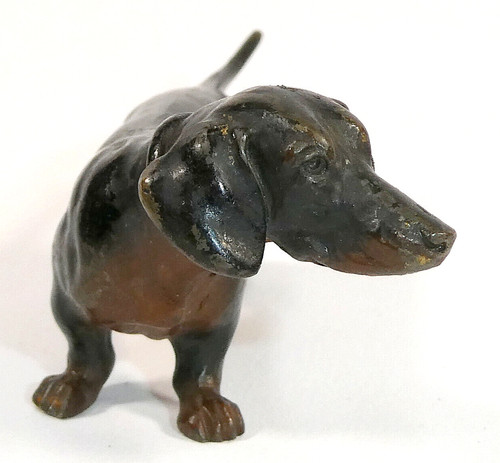 Wiener bronze dackel dachshund - wiener,