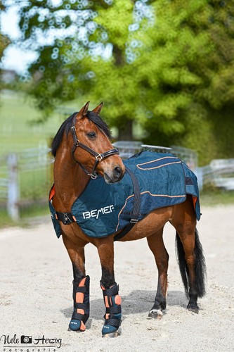 Bemer horse set neu - bemer,