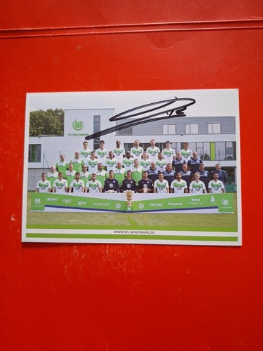 Mannschaftsbild vfl wolfsburg - vfl,