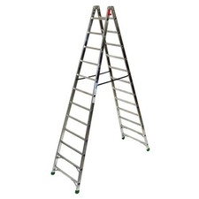 Facal Professional 1