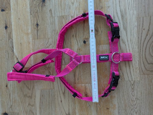 Hundegeschirr anione rot - hundegeschirr,