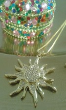 Schöne  Damen Sonnen