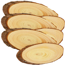 Baumscheiben mit Rinde 6er Set