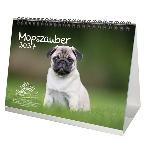 Mopszauber din - din, a5