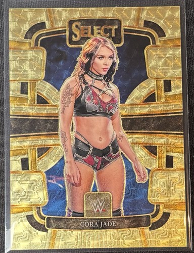 2024 wwe panini select - wwe,