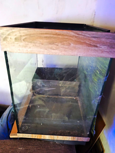 Glas terrarium aus mit - glas,