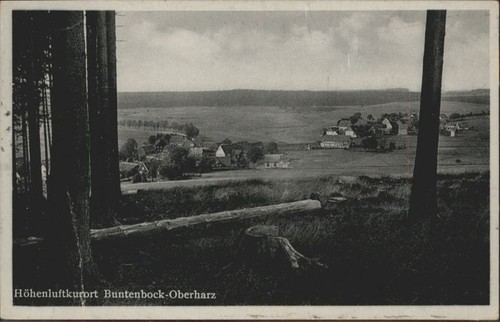 Buntenbock harz - buntenbock,