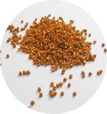 NELLYS ORIGINAL  Miyuki Delica