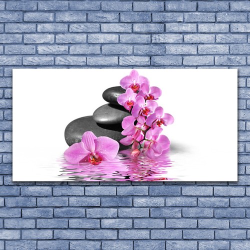 Acrylglasbilder wandbilder aus - acrylglasbilder,