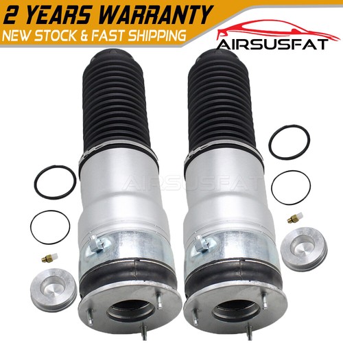 Rear air suspension strut - 2x,