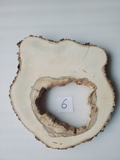 Int6 XL Deko Baumscheibe Ahorn 63x57x8 hohl ca.70 Jahre Holzscheibe Tischplatte