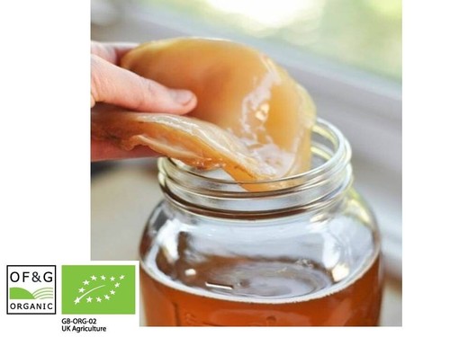 Liter bio kombucha - liter,
