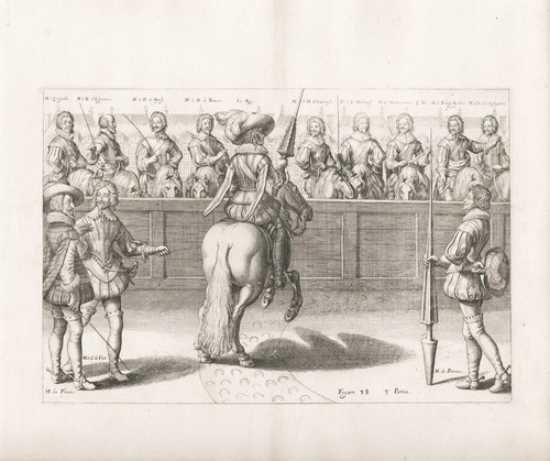 Reitschule riding school pferd - riding,