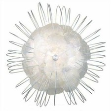 Eglo Wandleuchte Deckenlampe