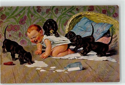 Baby sign roeseler dackel - a.,