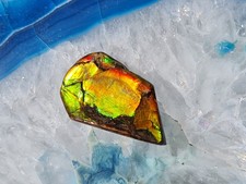 Grün -oranger Ammolit