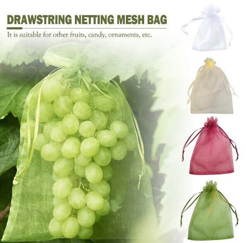 100stk trauben schutz - schutz, taschen