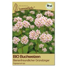 Samenliebe BIO Buchweizen