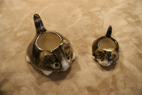 Mike hinton katzen - mike, katzen-
