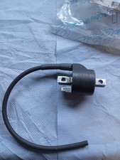 Zündspule Pegasus Roller 50 ccm / 2-Takt