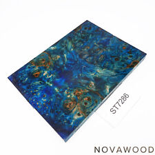 KASTANIE MASER STABILISIERT