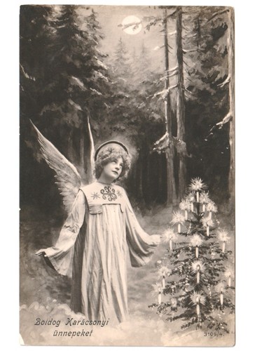 1906 antike foto - 1906,
