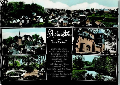 95197 w8685 schauenstein - w8685,