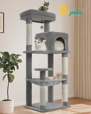 PETEPELA Kratzbaum groß