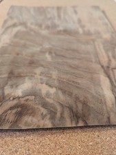 1 Blatt Nussbaum Wurzel/Kern