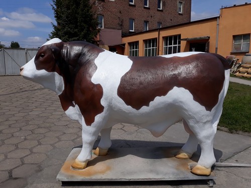 Bulle lebensgroß xxl - lebensgroß,
