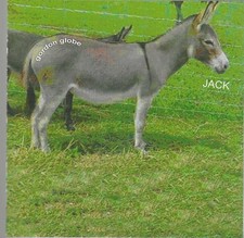 Gordon globe jack - "jack", 2004