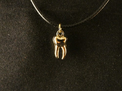 Anhänger zahn mit kette - anhänger,