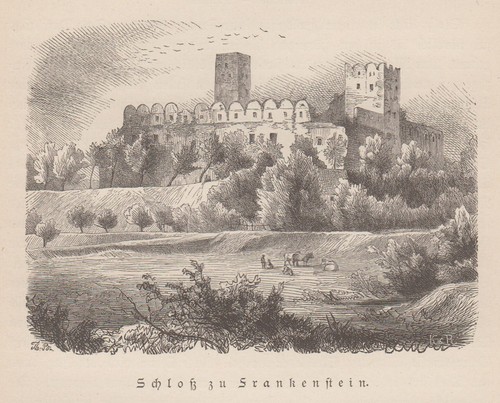 Frankenstein zabkowice slaskie - frankenstein,