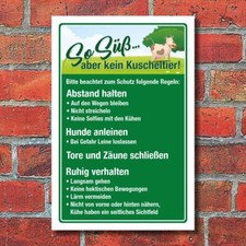 Schild Kühe Kuh Weidevieh