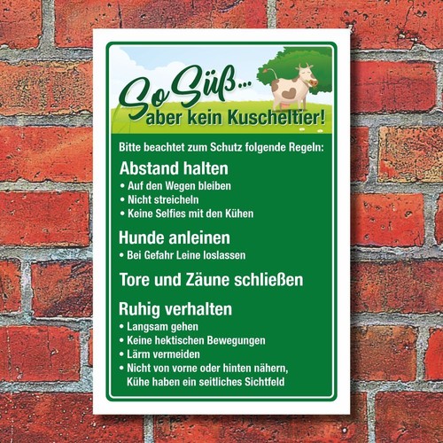 Schild kühe kuh weidevieh - kühe,