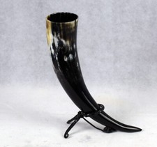 Trinkhorn Set 0,5 L poliert in