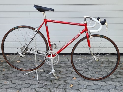 Nos neu rennrad olmo 5cm - rennrad, 54,5cm