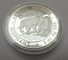 Somalia Elefant 2013 African Wildlife 1Oz Silber 100 Shillings stempelglanz