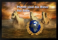 Fußmatte Schmutzfangmatte