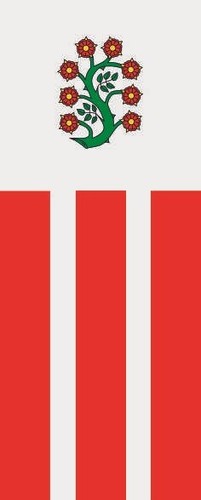 Fahne flagge selfkant - fahne,