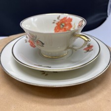 Porzellan Alt Schönwald