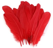 10 St. Federn Gänsefedern