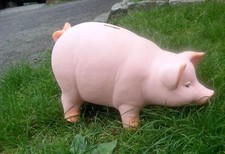 Großes xxxl sparschwein - großes,